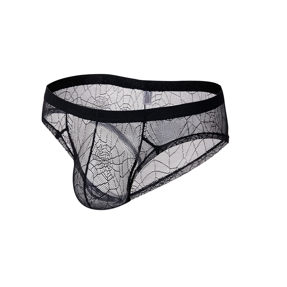 Men S Sexy Sheer Bulge Pouch Low Waist G String Bikini Underwear S XL