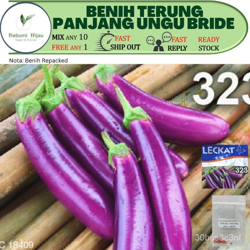 Biji Benih Terung Ungu Bride Repacked Long Brinjal Seeds Eggplant