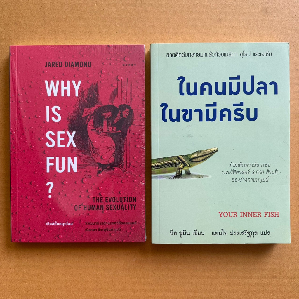 Why Is Sex Fun เซกซนนสนกไฉน ในคนมปลาในขามครบ ปวศ ลานปของ