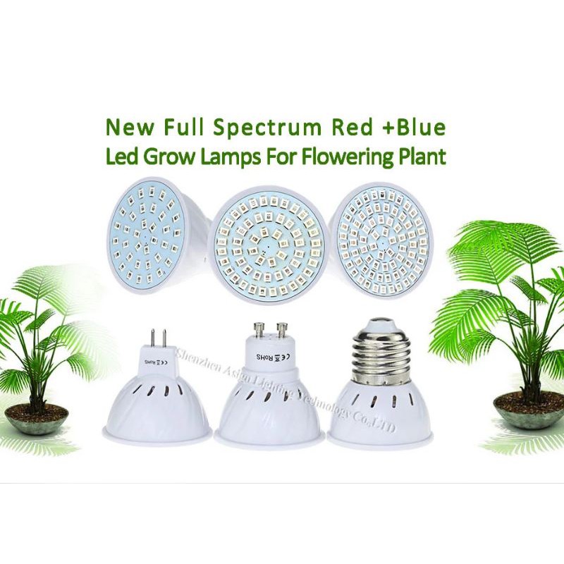 หลอดไฟปลูกต้นไม้-led-ปลูกพืช-ไฟปลูกพืช-led-ปลูกผักในร่ม-led-light-grow