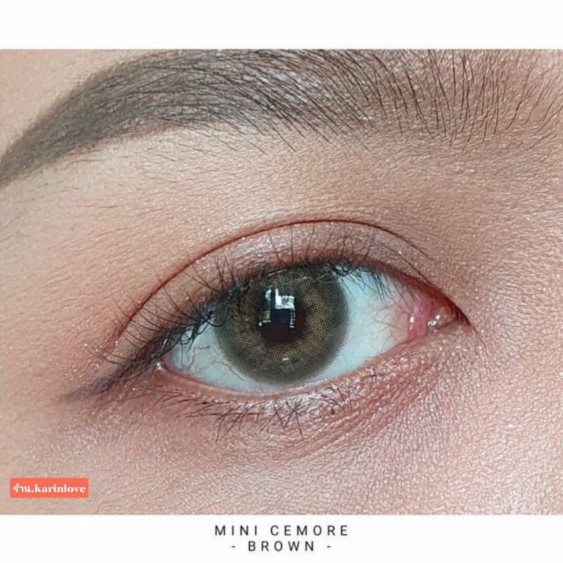 mini-cemore-brown-ขนาด14-2-สายตาปกติ-125-คอนแทคเลนส์-kitty-kawaii