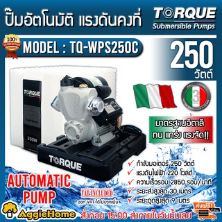 TORQUE ปั๊มอัตโนมัติ แรงดันคงที่ รุ่น TQ-WPS250C 250วัตต์ มีสวิทซ์ควบคุมแรงดัน ปั๊มน้ำ ปั๊มบ้าน ปั๊มอัตโนมัติ