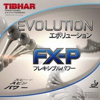 ภาพหน้าปกสินค้ายางปิงปอง Tibhar evolution FXP ฟองน้ำMAX ที่เกี่ยวข้อง