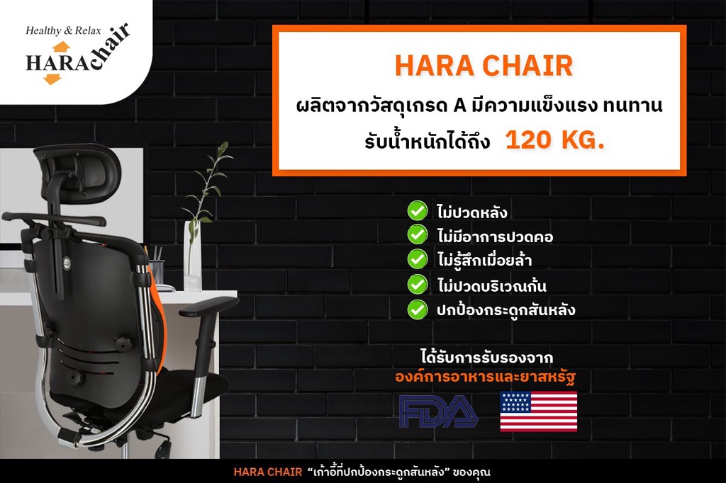 [ฮาร่าแชร์] HARA CHAIR เก้าอี้สำนักงานเพื่อสุขภาพ รุ่น NIETZSCHE 2 LB ...