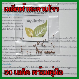 เมล็ดฟ้าทะลายโจร 50 เมล็ด แถมฟรีคู่มือการปลูก (สมุนไพรต้านโควิด)ทุกบ้านต้องมี