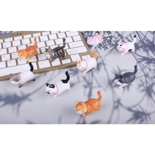 ภาพขนาดย่อของภาพหน้าปกสินค้าโมเดล แมวน่ารัก โมเดลแมวไข่ โมเดลแมวจิ๋ว พร้อมส่งจากไทย จากร้าน misochibiqacat บน Shopee ภาพที่ 2