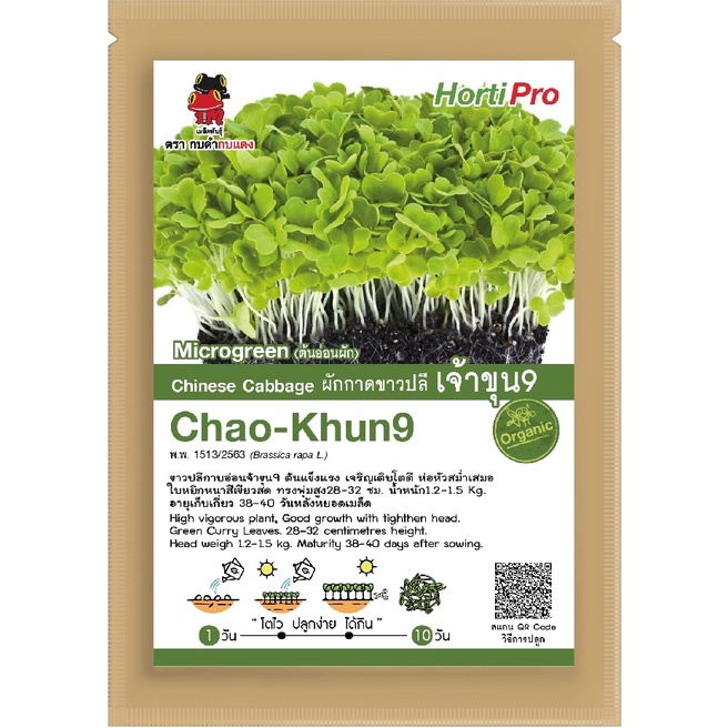 เมล็ดต้นอ่อนผักกาดขาวปลี-เจ้าขุน9-microgreen-chinese-cabbage-chao-khun9-บรรจุ-10-g