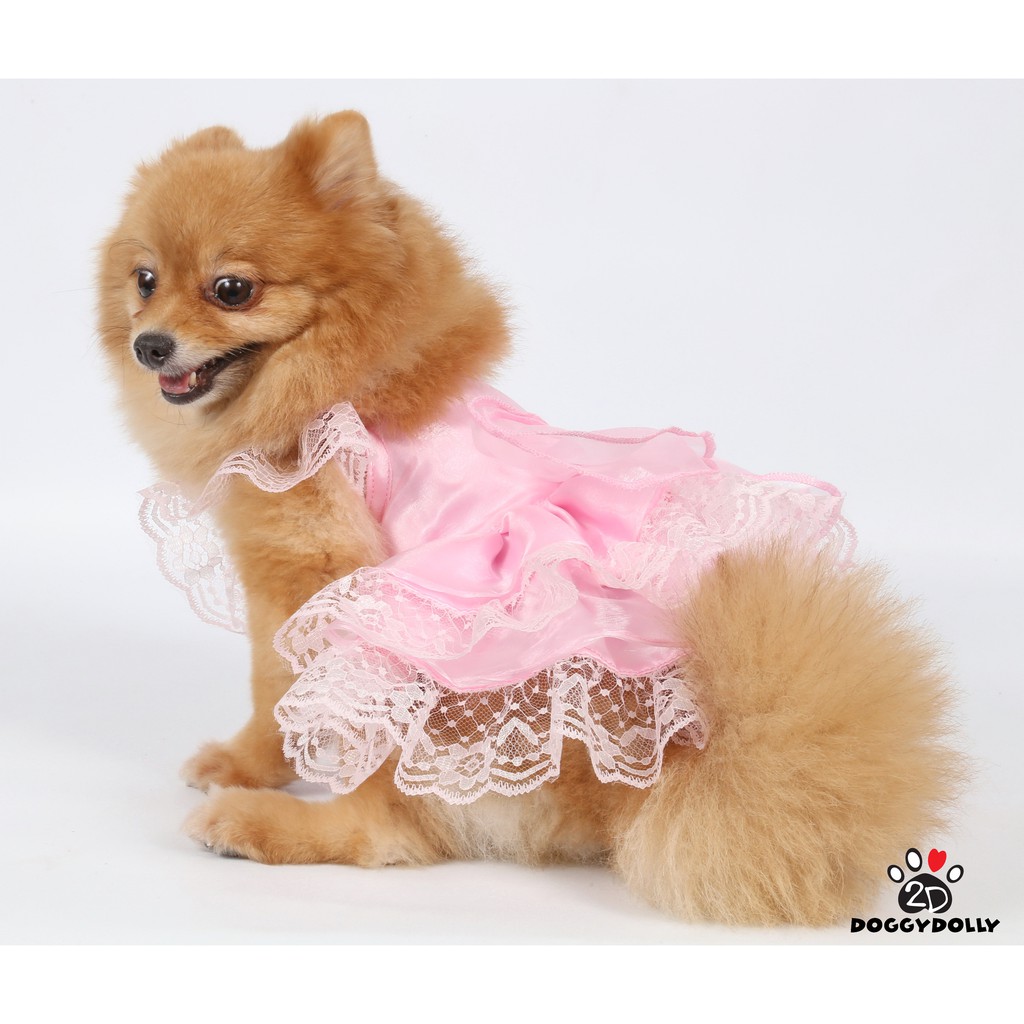 petcloths-doggydolly-เสื้อผ้าแฟชั่น-เสื้อผ้าสัตว์เลี้ยง-เสื้อผ้าหมาแมว-ชุดกระโปรง-ชุดแต่งงาน-ชุดราตรี-wedding-f031