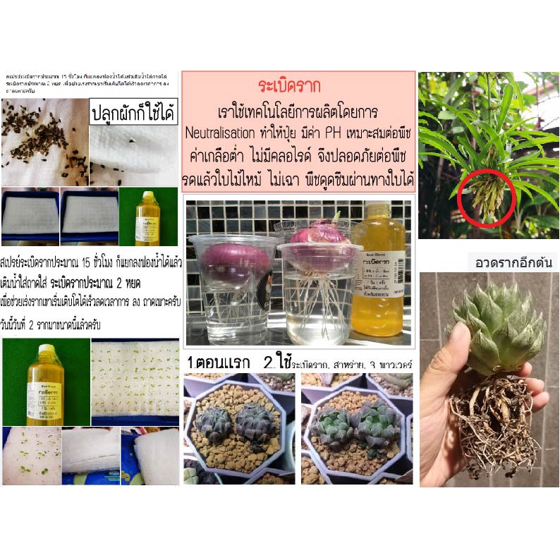 11-12-ไฟน์เดย์-สินค้าราคาโปร-150-บาท-ลดเหลือ-100-บาท-ไฟน์เดย์