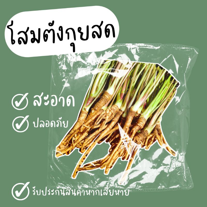 โสมตังกุยสด-แบ่งขาย