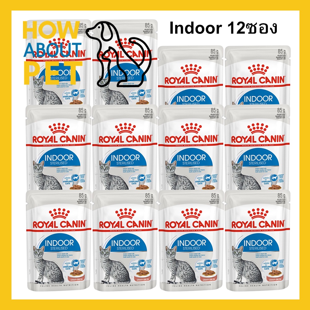 Royal Canin Adult Indoor Wet Cat Food 85g x 12