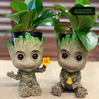 🎉สูง 15 cm🎉 กระถางกรูท baby groot pot flower