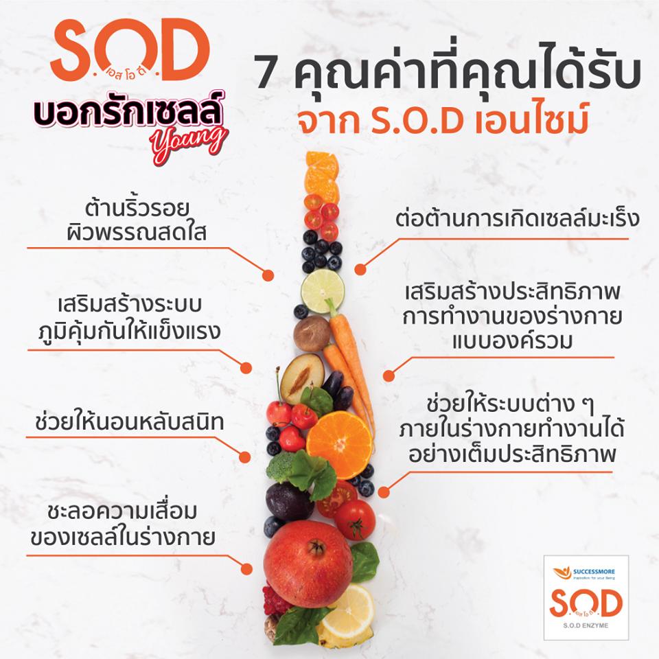 s-o-d-อาหารเสริมต้านอนุมูลอิสระ-คืนความแข็งแรงระดับ-dna