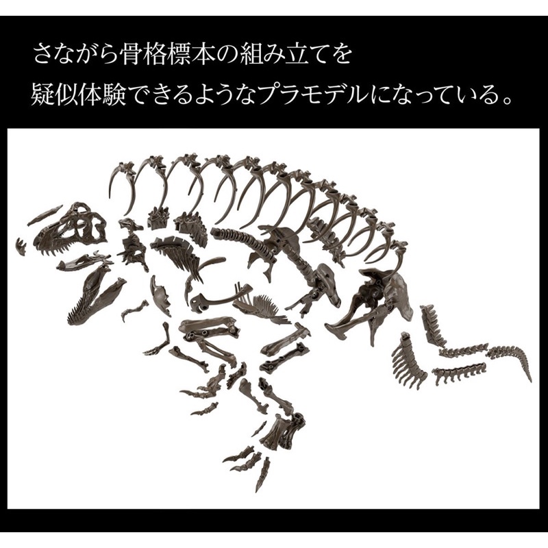 imaginary-skeleton-tyrannosaurus