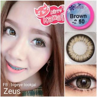 💖 Kitty Kawaii Zeus brown gray blue Contactlens บิ๊กอาย คอนแทคเลนส์ ราคาถูก แถมตลับฟรี