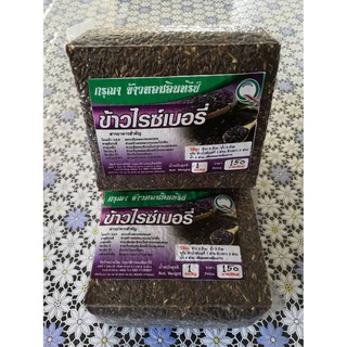 ข้าวไรซ์เบอรี่ อินทรีย์ 1 kg Organic Riceberry ข้าว ไรซ์เบอร์รี่ ออร์แกนิก ข้าวดี มีประโยชน์ ข้าวสาร