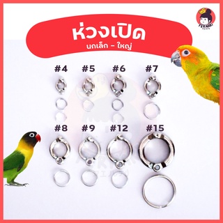 พร้อมส่ง‼ 🦜ห่วงเปิดข้อขานก ห่วงขานกเล็ก ห่วงขานกใหญ่ ห่วงขานกแก้ว ห่วงนกแก้ว ซันคอนัวร์ กรีนชีค ค็อกคาเทล ฟอพัส มาคอร์