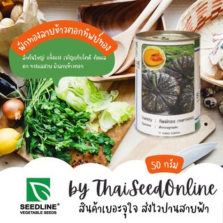 สินค้า 50กรัม เมล็ดพันธุ์ กป 50 กรัม ฟักทองลายข้าวตอกลูกผสม ทิพย์ทอง (THIPTHONG) ตราซีดไลน์