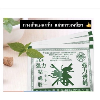 กาวดักแมลงวัน แผ่นกาวเหนียว สินค้าพร้อมส่งจากไทย ปลอดภัยไร้สาร BY259