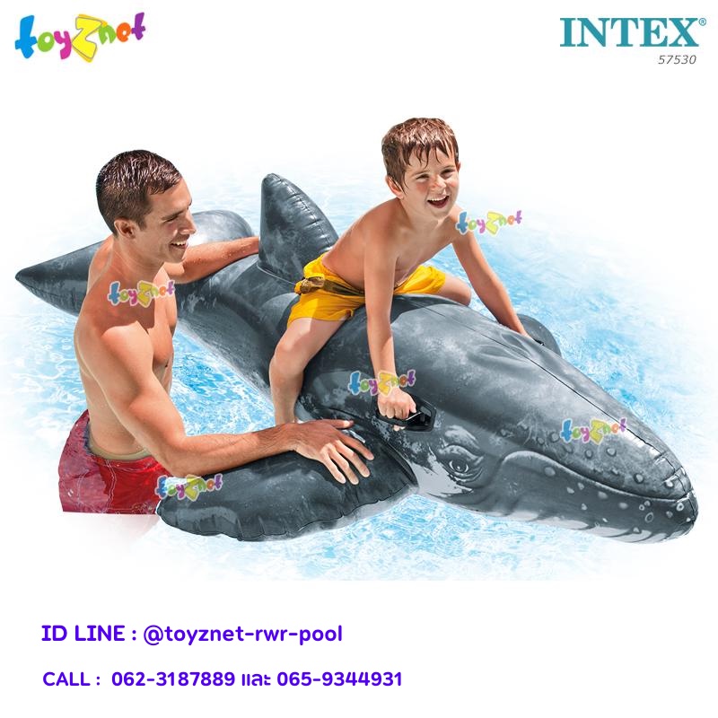 ภาพหน้าปกสินค้าIntex แพปลาวาฬ 2.01x1.35 ม. รุ่น 57530