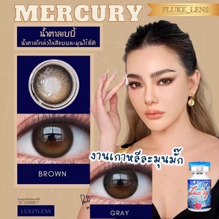 ภาพขนาดย่อสินค้าลายดังเกาหลี Mercury gray brown คอนแทคเลนส์ Luxzylens (มินิ) ของแท้ผลิตที่เกาหลี