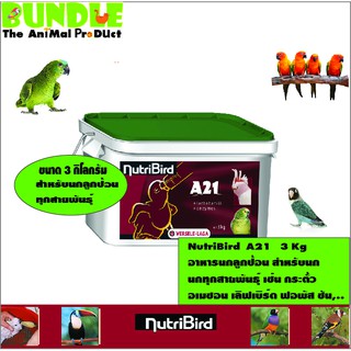 NutriBird  A21   3 Kg อาหารนกลูกป้อน สำหรับนก นกทุกสายพันธุ์ เช่น กระตั้ว อเมซอน เลิฟเบิร์ด ฟอพัส ซัน,..