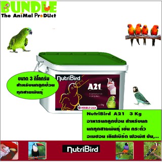 NutriBird  A21   3 Kg อาหารนกลูกป้อน สำหรับนก นกทุกสายพันธุ์ เช่น กระตั้ว อเมซอน เลิฟเบิร์ด ฟอพัส ซัน,..