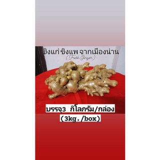 ขิงแก่_ขิงแพ3กิโลกรัม(Ginger3kg.)