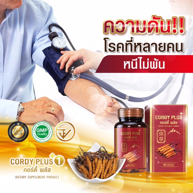 ถั่งเช่าแท้-ส่งฟรี-ถั่งเช่าทิเบตแท้-cordy-plus1-1แถม1