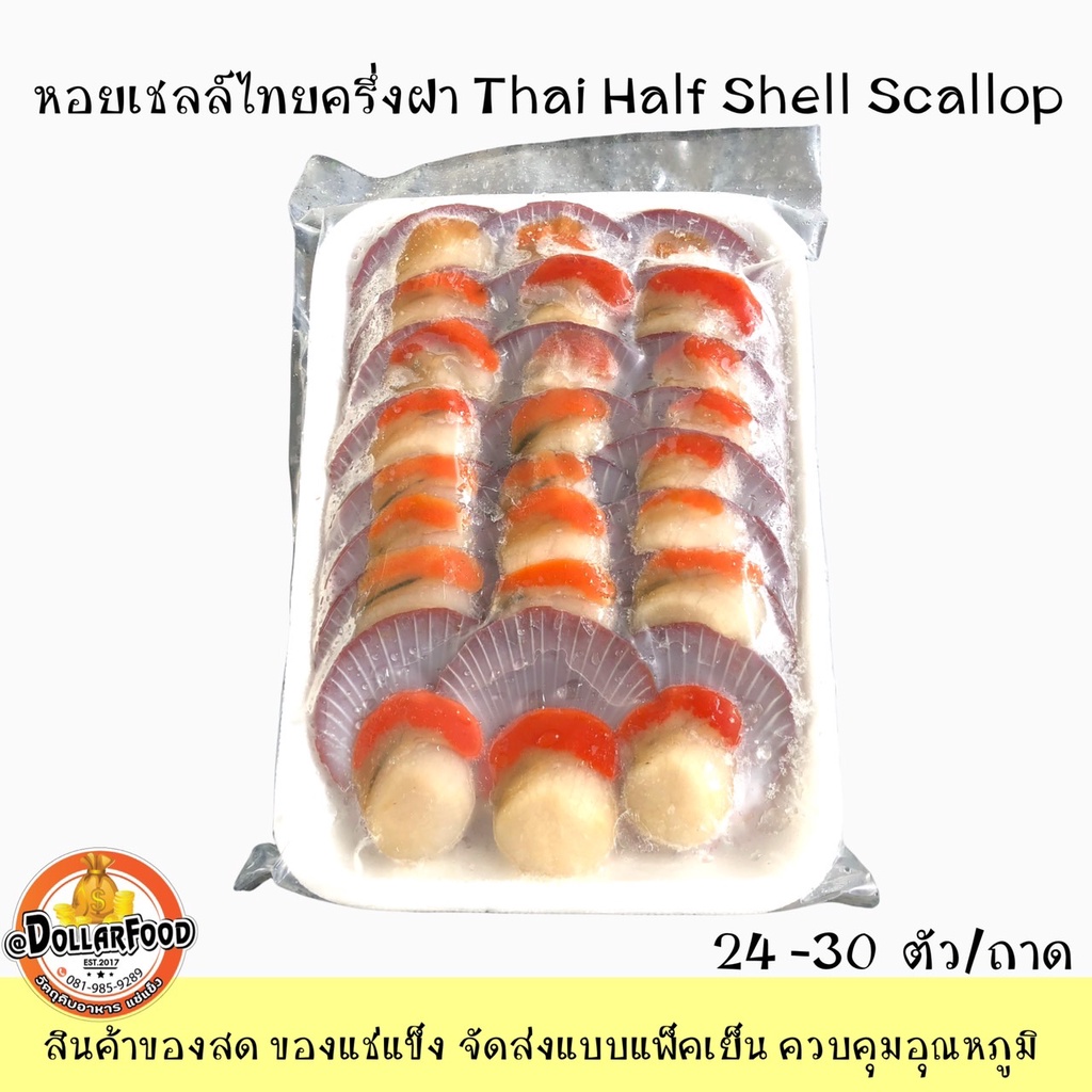 หอยเชลล์-หอยเชลล์ครึ่งฝา-หอยเชลล์ฝาเดียว-24-ตัว-ถาดthai-half-shell-scallop-สำหรับเมนูย่างเนย-อบเนยกระเทียม-หอยเชลล์ไทย