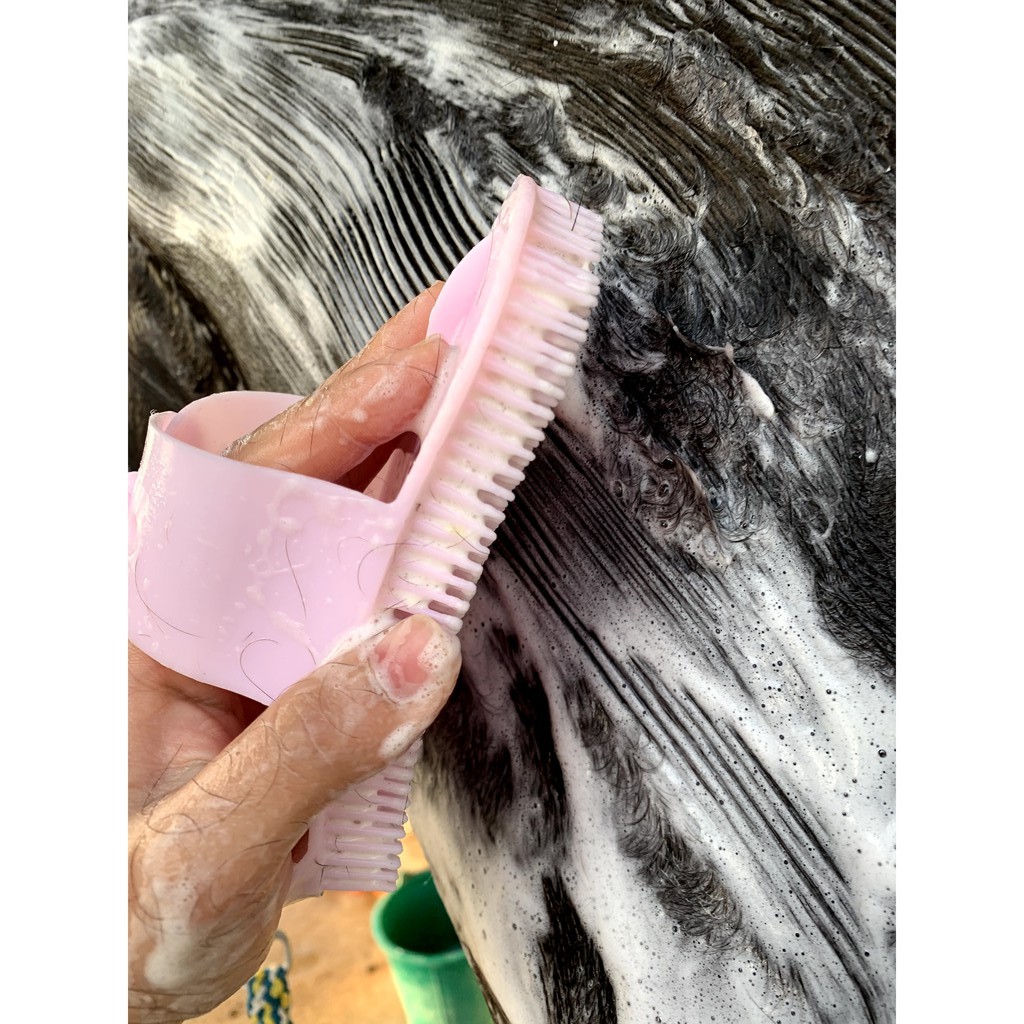 กราดพลาสติก-plastic-curry-comb-large