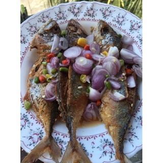 ภาพหน้าปกสินค้าปลาทูเค็ม สูตรโบราณจากนครศรีฯ อร่อยจนต้องขอข้าวเพิ่ม น้ำหนัก 500 กรัม (ฮาลาล) ที่เกี่ยวข้อง