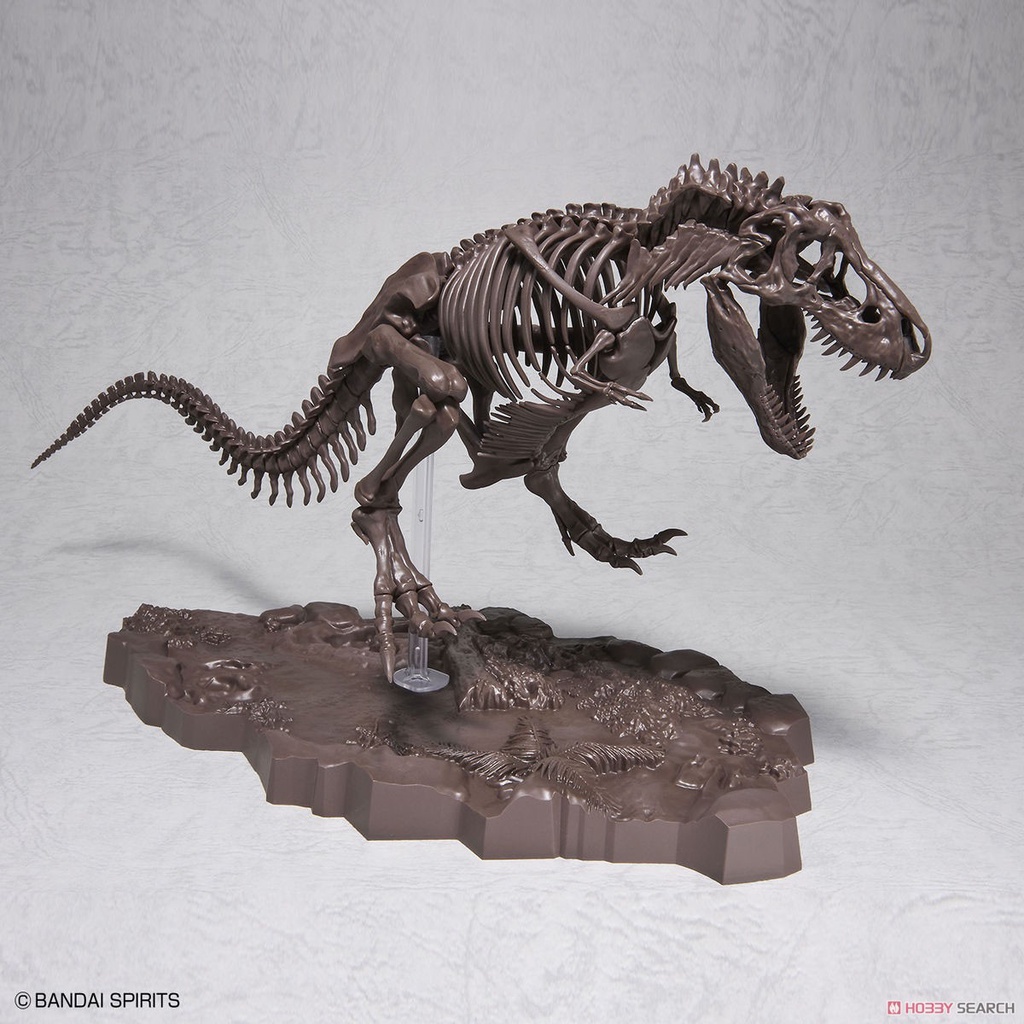 พร้อมส่ง-imaginary-skeleton-tyrannosaurus-โครงกระดูกไดโนเสาร-ไทโนซอรัส-t-rex