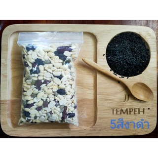 Tempeh ขนาด250กรัม เทมเป้ ส่งสดแบบบ่มเอง  หอมอร่อย รสชาติดั้งเดิม อร่อย #เทมเป้พร้อมทาน