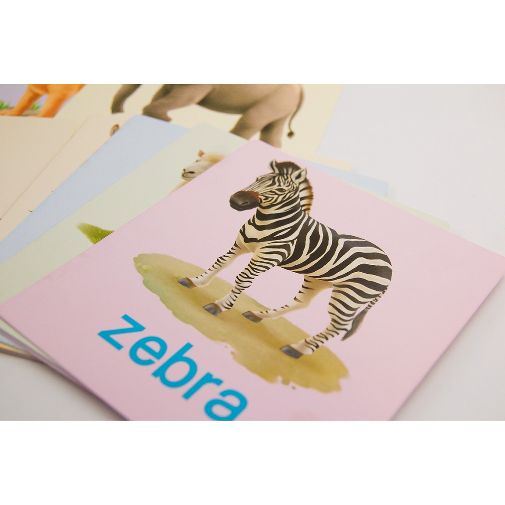ภาพสินค้าแฟลชการ์ดใบใหญ่  Big Card  การ์ดคำศัพท์ animal  หนูชอบสัตว์น่ารัก  บัตรคำ  ศัพท์พื้นฐานเด็ก จากร้าน dr.babe บน Shopee ภาพที่ 4