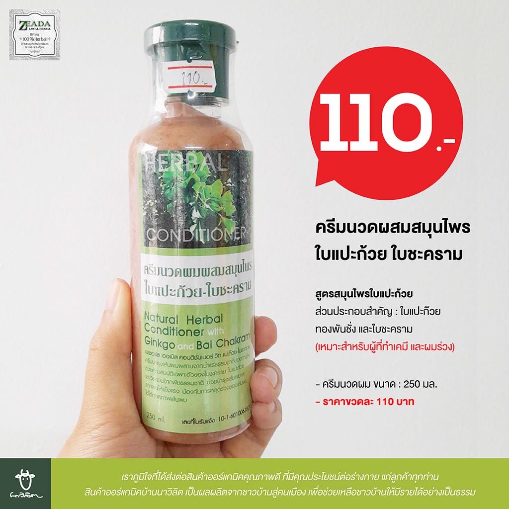 โปรโมชั่น-ซื้อแชมพู-1-แถมฟรี-ครีมนวด-1-แชมพูและครีมนวดผมใบแปะก้วย-ใบชะคราม-zeada-exp-24-08-22