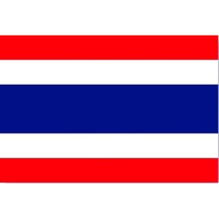 ธง เบอร์ 9 90x135 ธงชาติ ธรรมจักร ธงวปร ธงราชินีสุทิดา ราคาถูก ขายยกแพค 1 แพค มี 20 ผืน