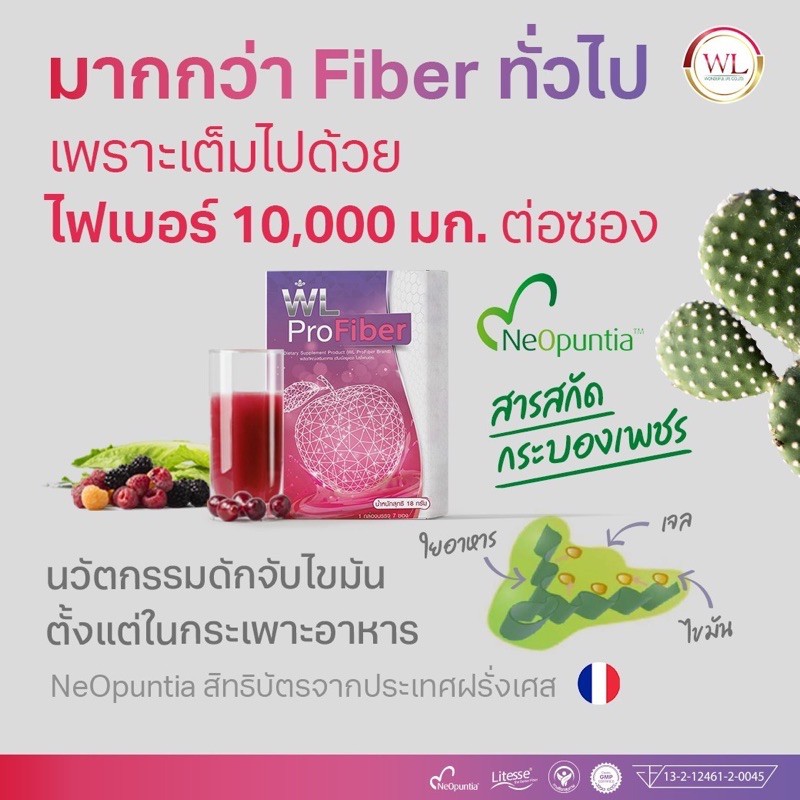 ส่งฟรี-1แถม1-ไฟเบอร์ดีท็อกซ์-wl-profiber-ชาแอปเปิ้ลผสมไฟเบอร์-ดับเบิ้ลยูแอล-โปรไฟเบอร์-ไฟเบอร์ช่วยขับถ่าย-ลดพุง