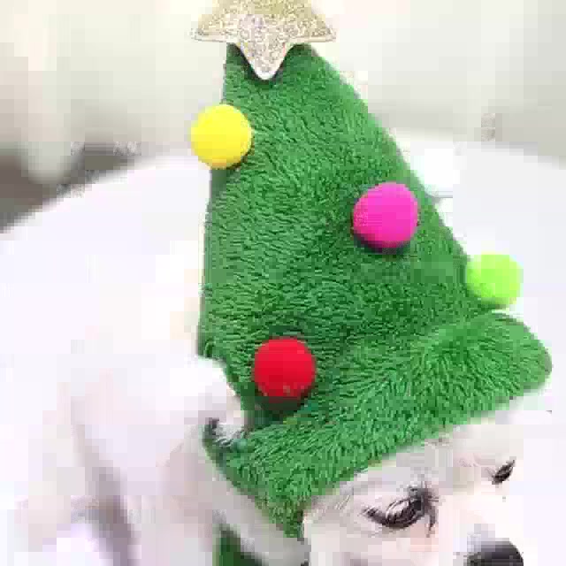 ผ้าขนหนู-ลายกวางน่ารัก-เหมาะกับของขวัญคริสต์มาส-แฟชั่นฤดูหนาว-สําหรับสัตว์เลี้ยง-สุนัข-แมว