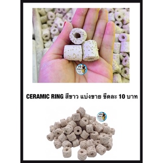 Ceramic Ring สีขาว แบ่งขาย ขีดละ 10 บาท (เซรามิคริง มีรูพรุนสูง ใช้เป็นที่อยู่ของจุลินทรีย์ )