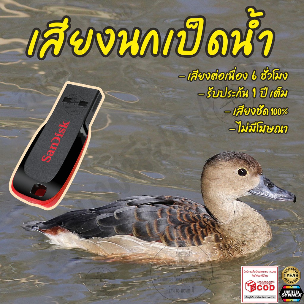 เสียงต่อ-นกเป็ดน้ำ-ยาว6ชั่วโมง-ไม่มีโฆษณา-แฟลชไดร์ฟ-flash-drive-มีเก็บเงินปลายทาง