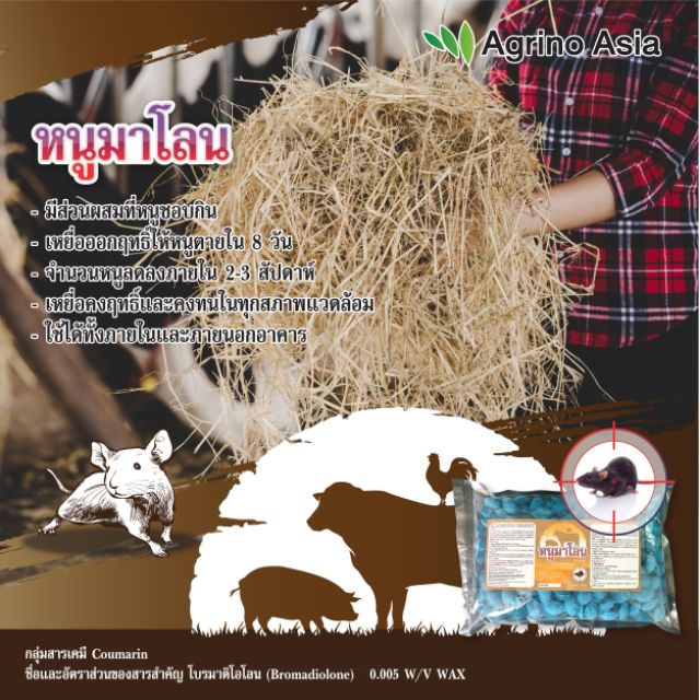 thai-english-chat-info-เหยื่อกำจัดหนู-หนูมาโลน-ขนาด-1-กิโลกรัม-bromadiolone-rodenticide