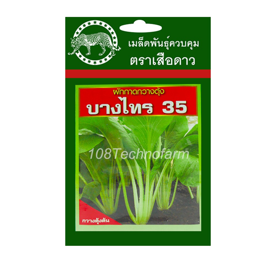 เมล็ดพันธุ์-ผักกาดกวางตุ้ง-บางไทร35-ตราเสือดาว