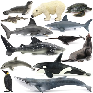 ภาพหน้าปกสินค้า20pcs Hot sell  แบบจำลองสัตว์ทะเล（ของเล่นเด็ก）（ปลาฉลาม）（ปลาวาฬ）（เต่า）（ช้างน้ำ）（ปลาเซลฟิช）（ปลาโลมา）（ปลานาร์แว็ล） ที่เกี่ยวข้อง