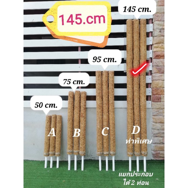 ขายดีเสาไม้เลื้อย-ยาว-145-cm-d-แยกใช้งานได้-2-ท่อน