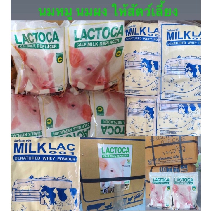 อาหารแทนนมสำหรับสัตว์-มิลคฺแลค-lactoca-นมผงแลคโตคา-นมผงสัตว์-นมหมู-นมวัว-นมผงสำหรับสัตว์-ขนาด1kg-นมผงแลคโตคา-lactoca