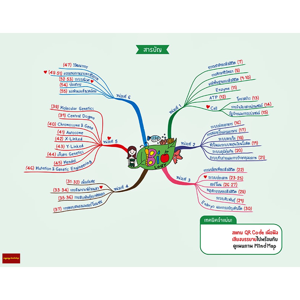 หนังสือent-maps-ชีววิทยา-mind-mapสรุปเนื้อหาวิชาชีววิทยาที่ต้องรู้เข้าใจได้ใน1วัน