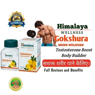 ภาพหน้าปกสินค้าจากธรรมชาติ100% สมุนไพรปรับฮอร์โมนชาย 60 เม็ด Himalaya Gokshura Tribulus Terrestris 60 Tablets ที่เกี่ยวข้อง