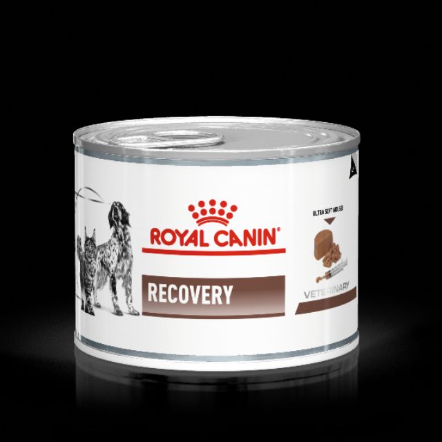 Royal Canin Recovery 195gแพ็คเกจใหม่!!! อาหารสัตว์ป่วย หรือพักฟื้น ...