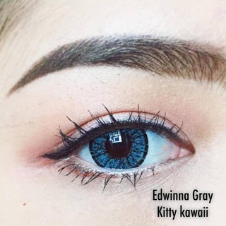 Edwina Gray (1) สีเทา เทา บิ๊กอาย ขอบดำ ตาโต Kitty Kawaii Contact Lens Bigeyes คอนแทคเลนส์ ค่าสายตา สายตาสั้น แฟชั่น